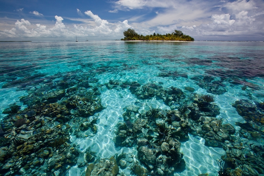 imagen 8 de Coral Caye, la isla privada de la familia Coppola.