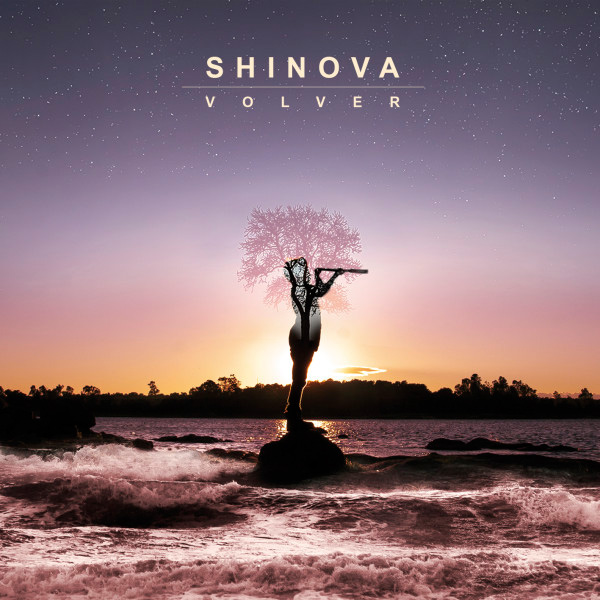 imagen 2 de Los vizcainos Shinova adelantan otro tema más de su próximo LP.