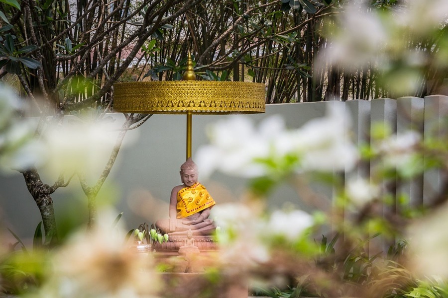 imagen 8 de Lujo en el corazón de Camboya.