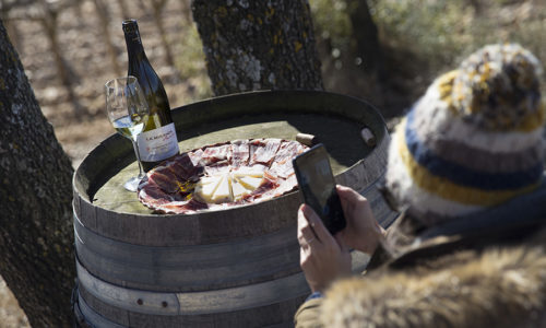 Días de vino y trufas en Somontano.