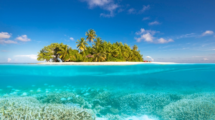 imagen 1 de La isla desierta más lujosa del mundo.