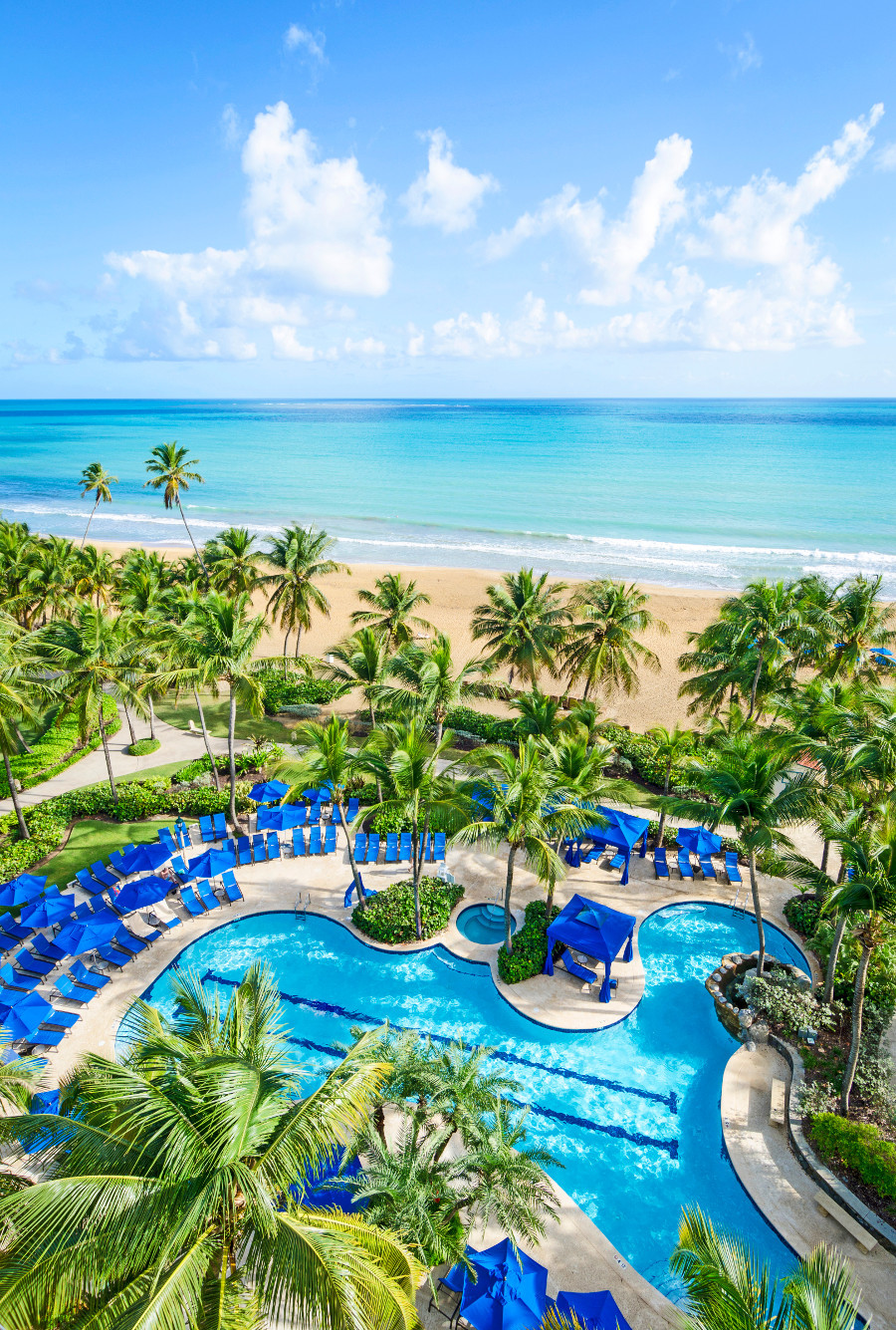 imagen 2 de Wyndham Grand Rio Mar Resort & Spa Puerto Rico.