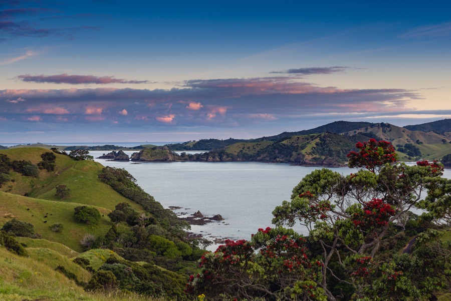 imagen 5 de El destino de tu gran viaje puede ser Nueva Zelanda.