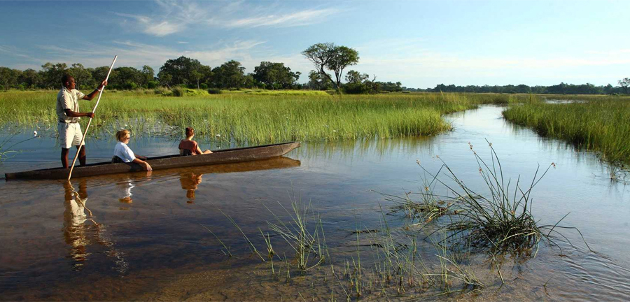 imagen 9 de Glamping en el impresionante delta del Okavango.