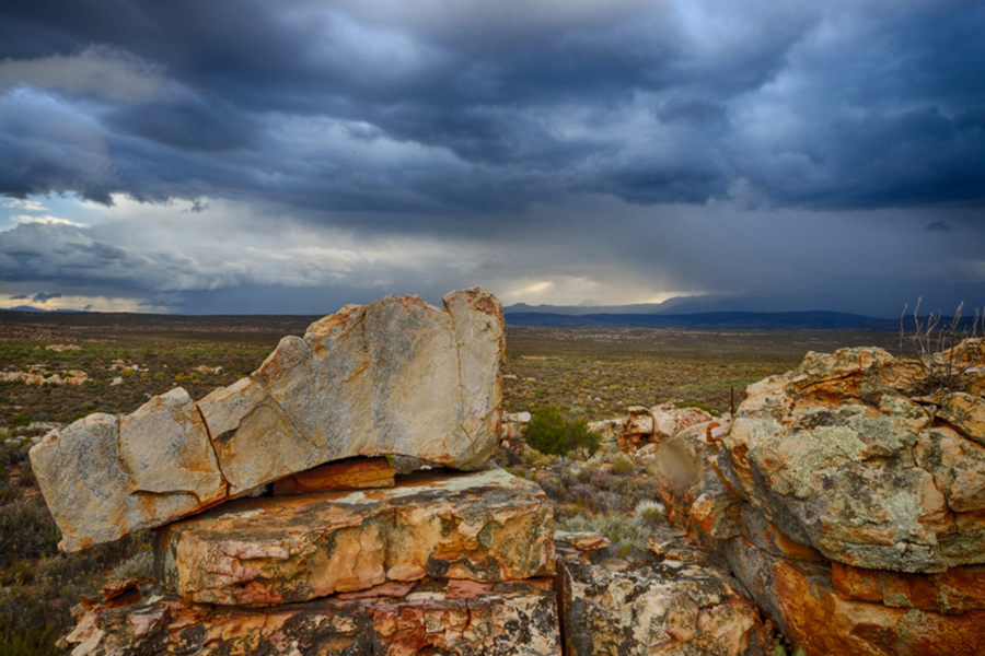 imagen 9 de Kagga Kamma, el lujo de dormir en una suite sin paredes en plena sabana africana.