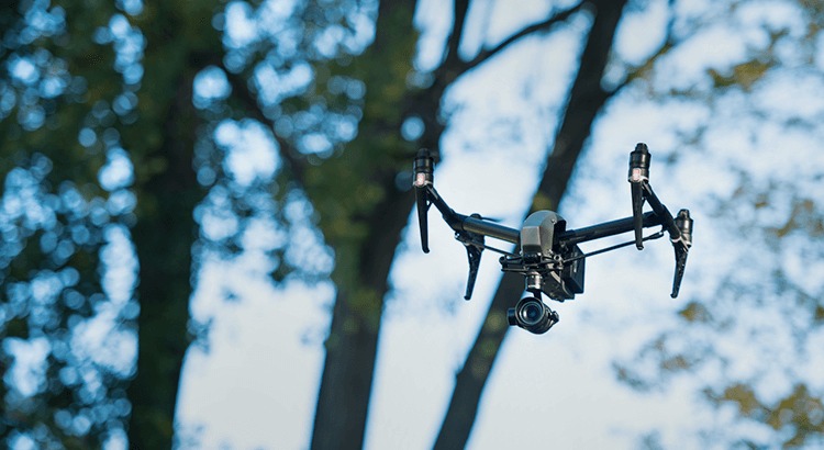 imagen 5 de Un dron de cine.