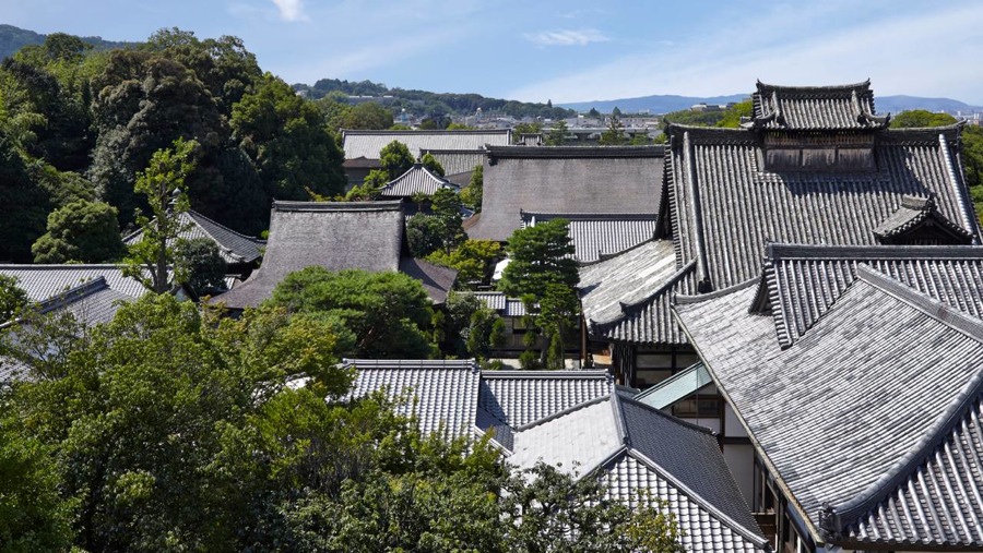 imagen 7 de Amanecer en Kioto junto a un jardín centenario.