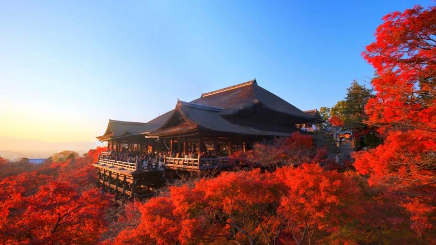 imagen 11 de Amanecer en Kioto junto a un jardín centenario.
