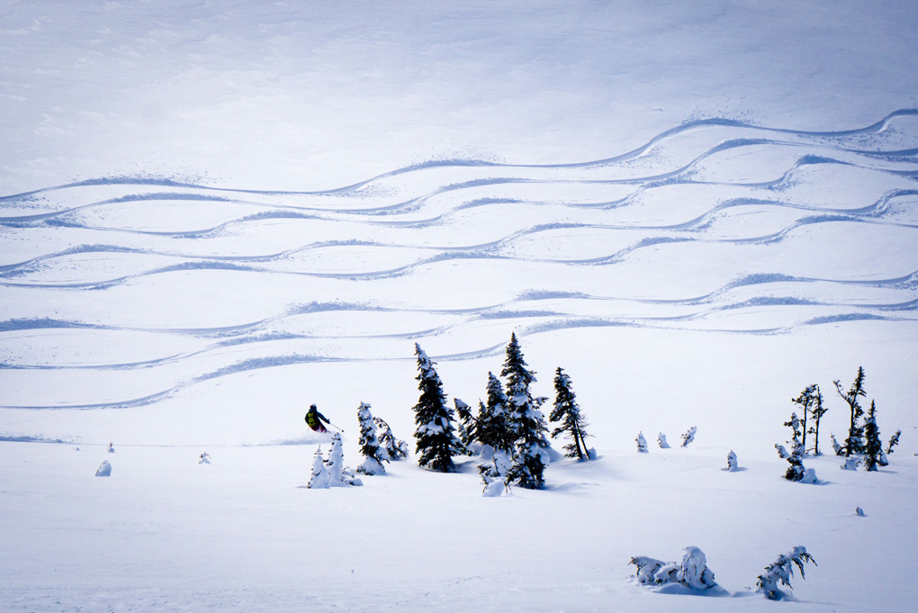 imagen 18 de Heliesquí y 9.500 kilómetros cuadrados de nieve virgen en Canadá.