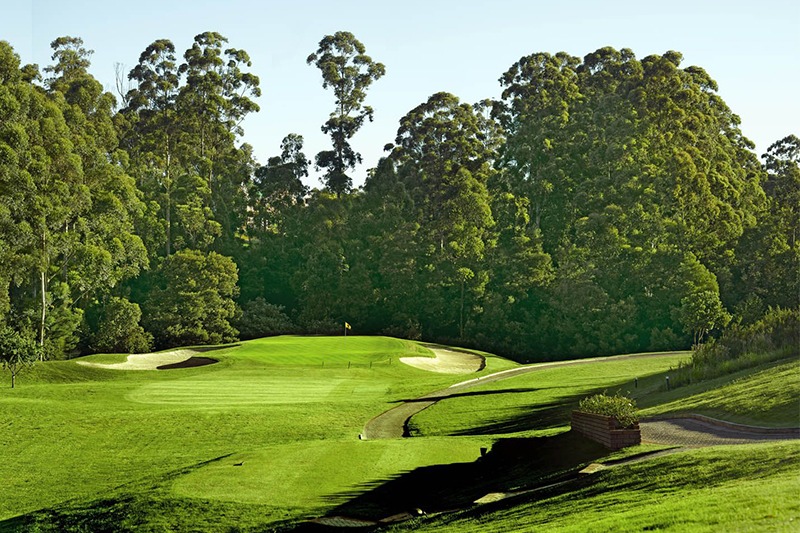 imagen 15 de Un destino para los amantes del golf.
