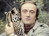 Félix Rodríguez de la Fuente, el naturalista que cambió nuestra forma de interpretar el mundo.