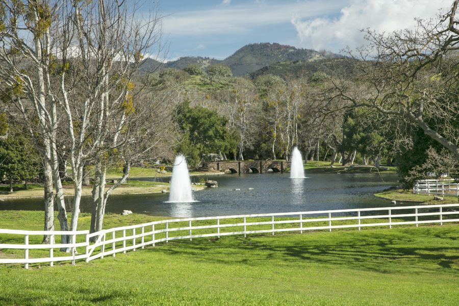 imagen 11 de Neverland, el paraíso de Michael Jackson, a la venta por 67 millones.