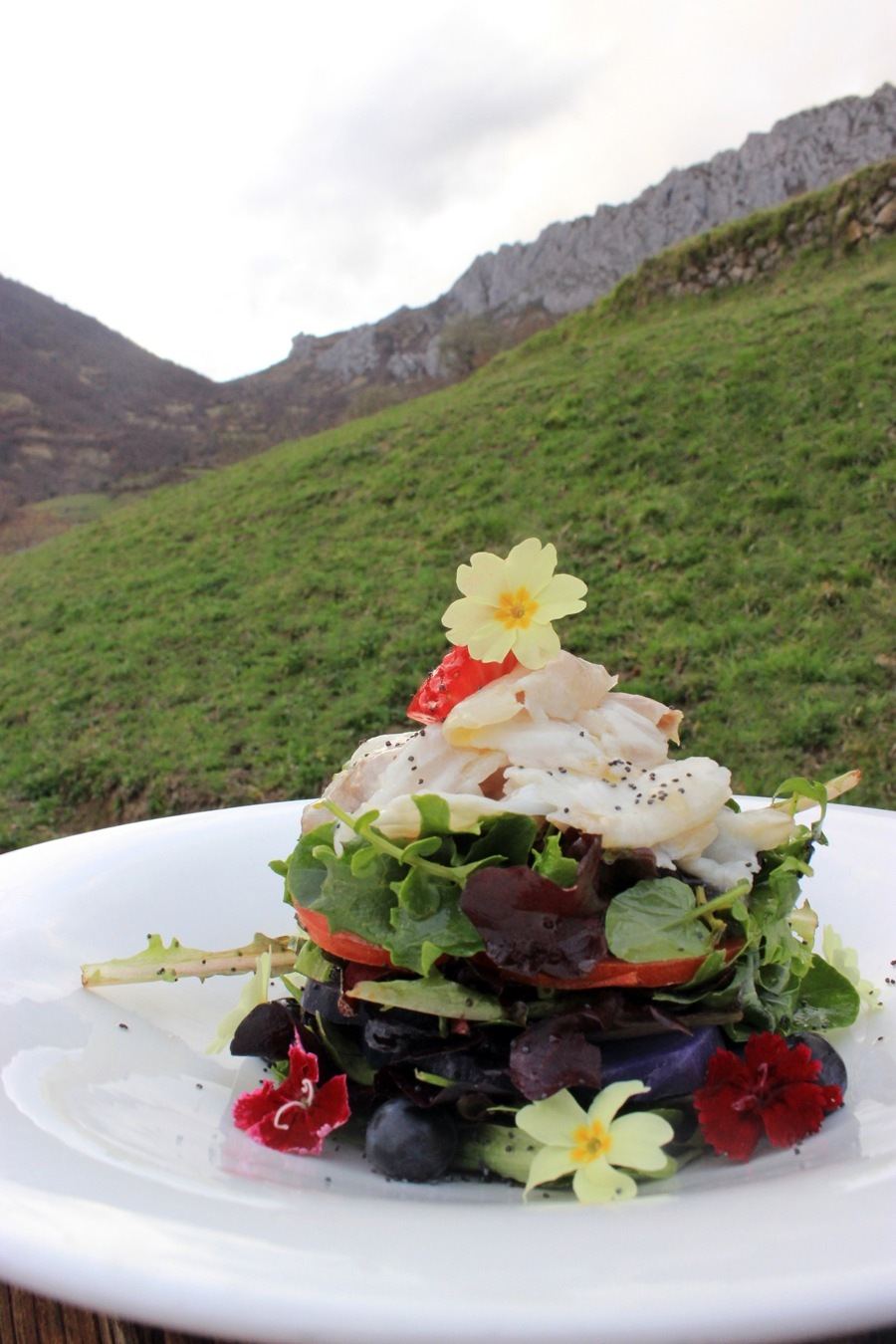 imagen 2 de Gotta, un restaurante en Asturias para comerte las flores.