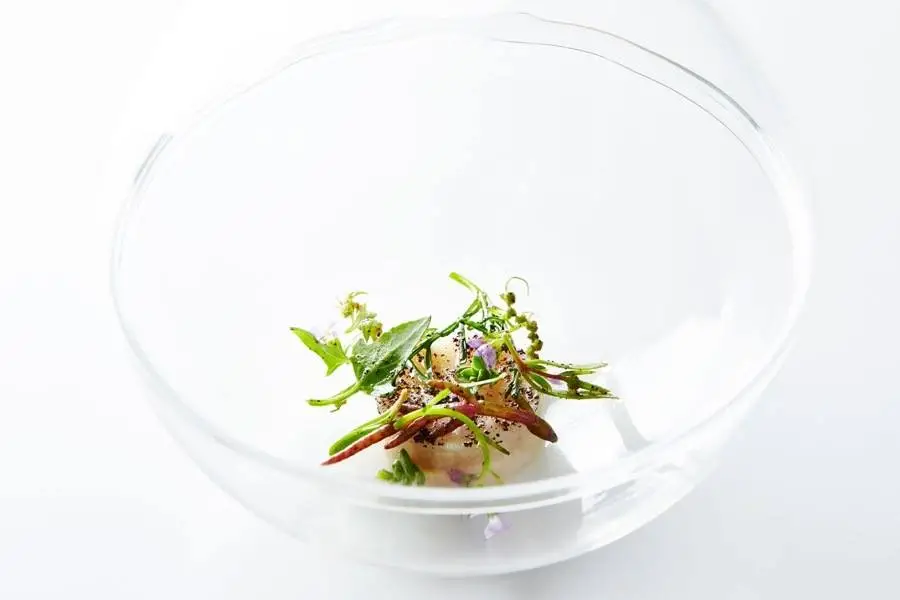 imagen 7 de Geranium, naturaleza salvaje al plato. En Dinamarca.