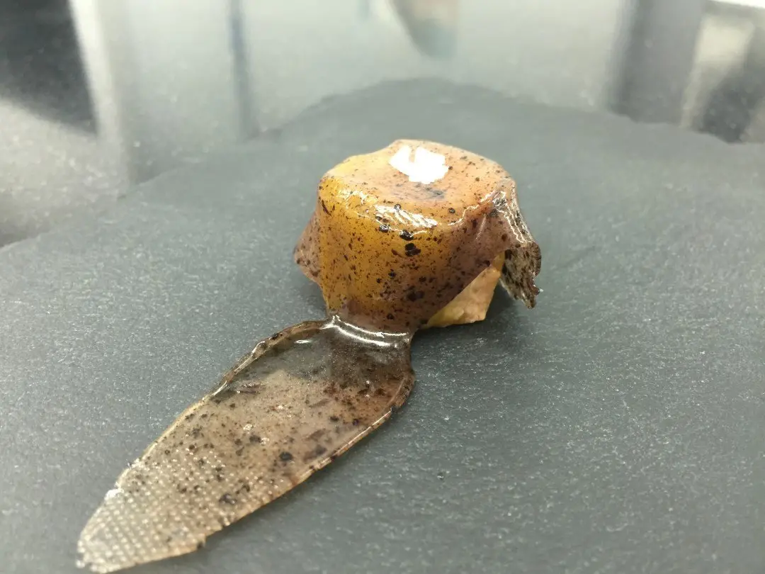 imagen 2 de Tresmacarrons, un restaurante en Barcelona con Estrella Michelin a un precio asequible.