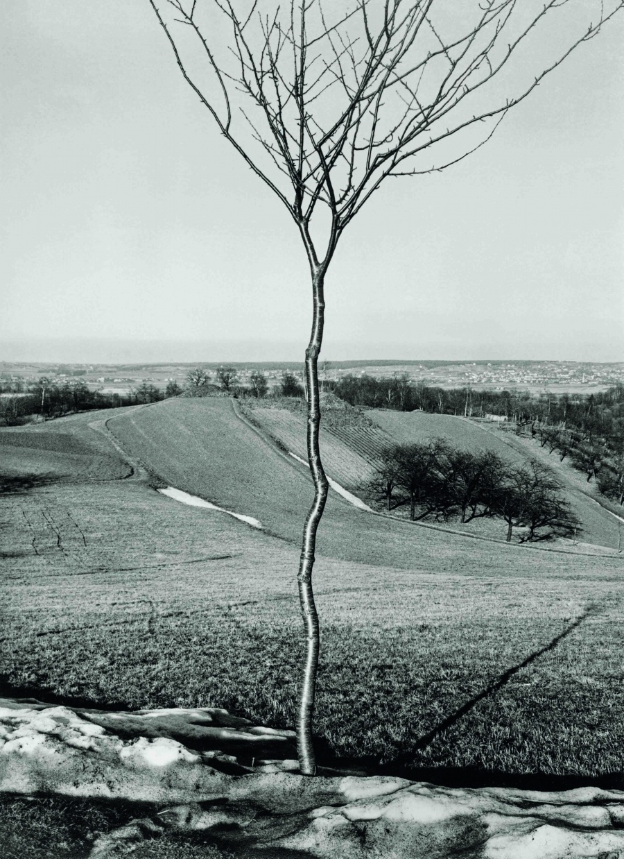 imagen 9 de Albert Renger-Patzsch: “ya no se puede concebir la vida moderna sin la fotografía”.