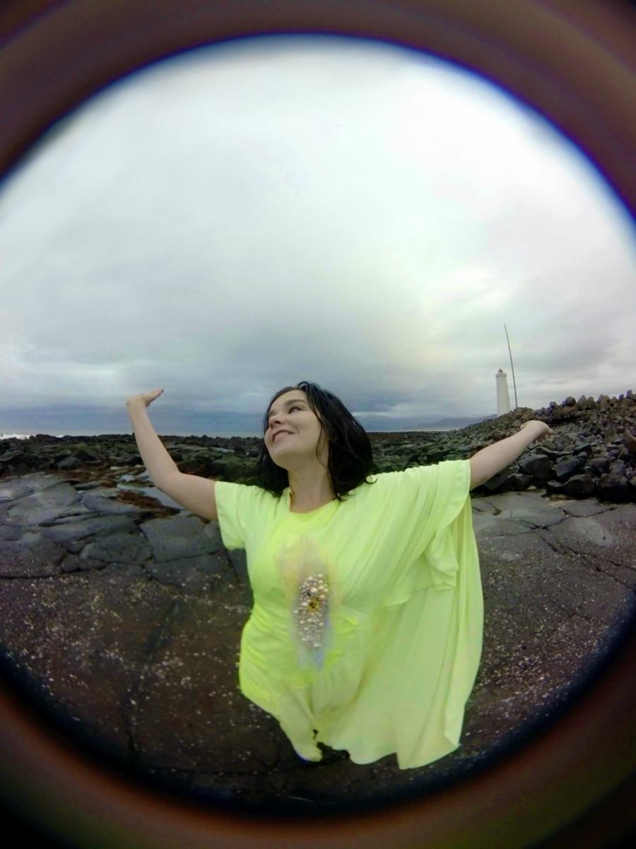 imagen 7 de Björk Digital: el CCCB abre su primera muestra de realidad virtual.
