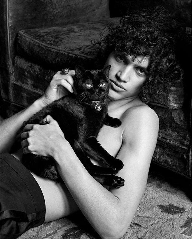 imagen 2 de La seducción felina de Givenchy.