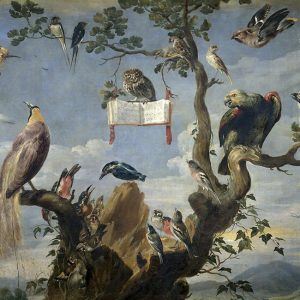 Oiseaux Exotiques: los pájaros exóticos de Olivier Messiaen.