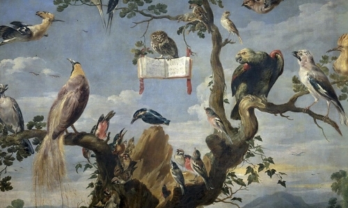 Oiseaux Exotiques: los pájaros exóticos de Olivier Messiaen.