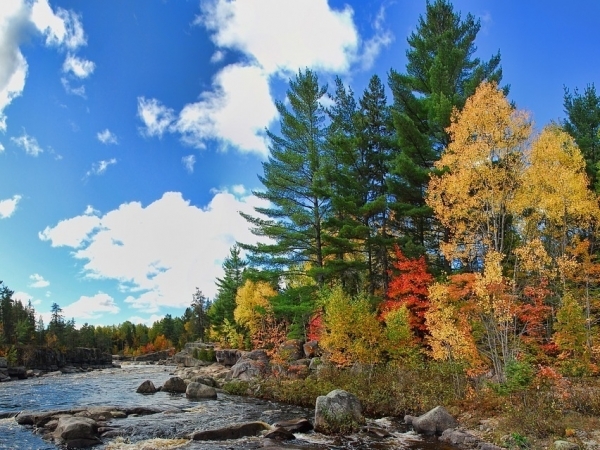 5 razones por las que visitar los bosques de Canadá en Otoño.