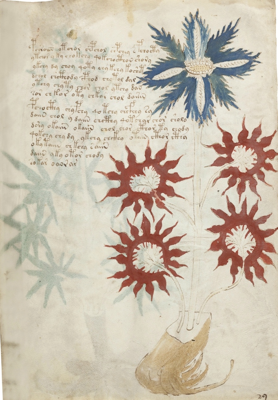 imagen 2 de Siloé recrea en edición facsimilar el Manuscrito Voynich.