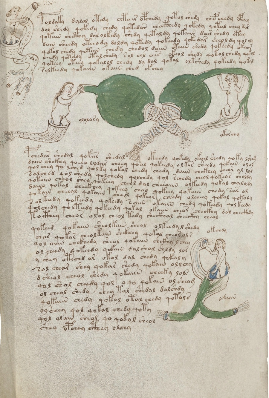 imagen 5 de Siloé recrea en edición facsimilar el Manuscrito Voynich.