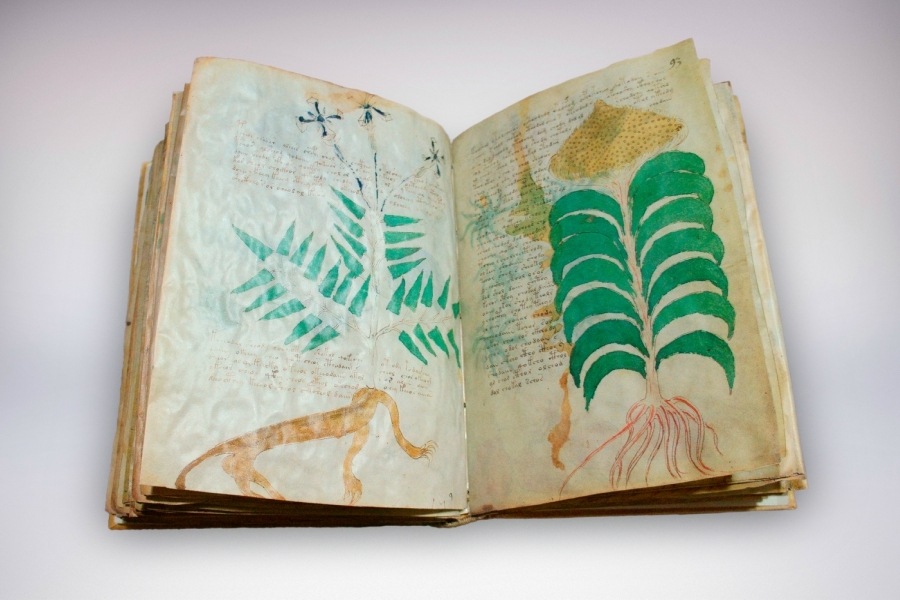 imagen 13 de Siloé recrea en edición facsimilar el Manuscrito Voynich.