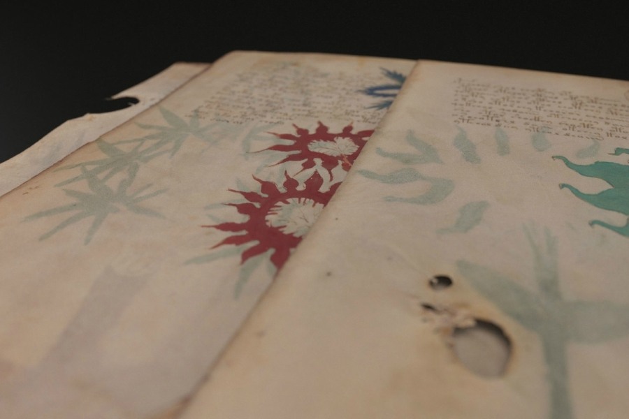 imagen 8 de Siloé recrea en edición facsimilar el Manuscrito Voynich.