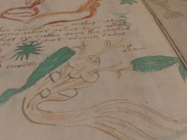 Siloé recrea en edición facsimilar el Manuscrito Voynich.