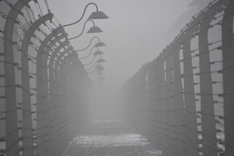 imagen 3 de Auschwitz. No hace mucho. No muy lejos.