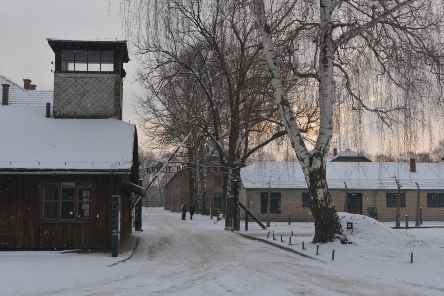 imagen 1 de Auschwitz. No hace mucho. No muy lejos.