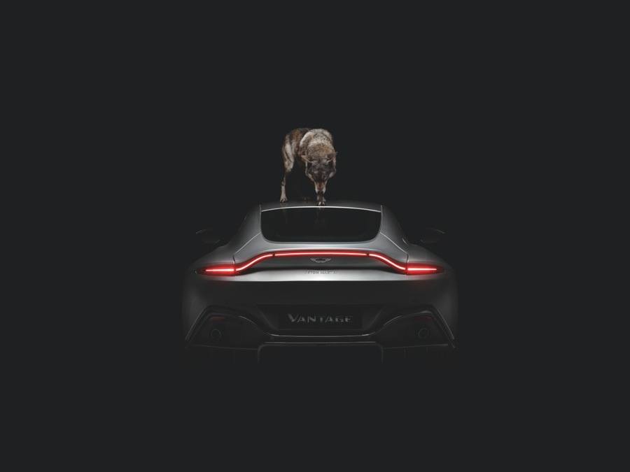 imagen 6 de El nuevo Aston Martin Vantage: arte y motor según Rankin.