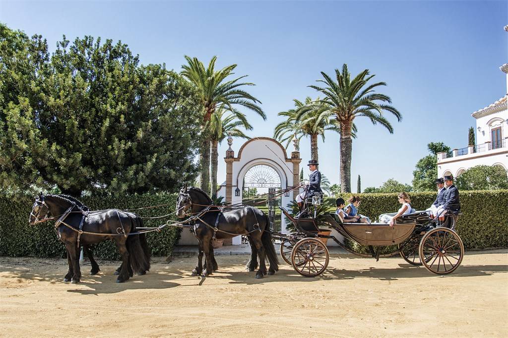 imagen 6 de Una finca de capricho en Sevilla.