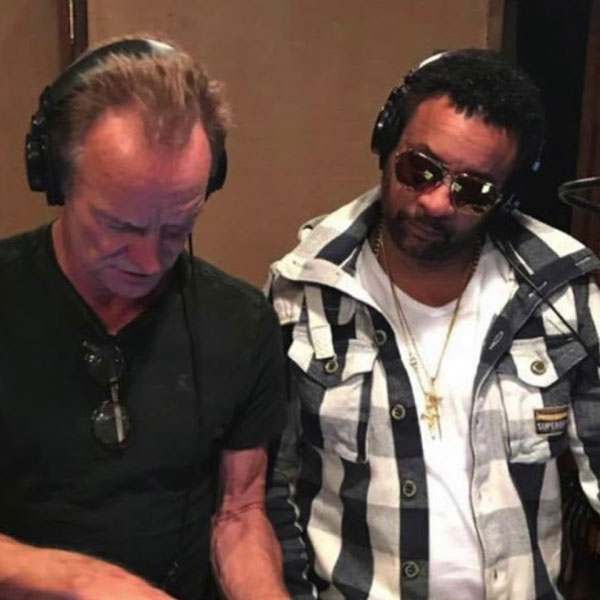 imagen 7 de Sting y Shaggy unen fuerzas y graban disco: “44/896”.