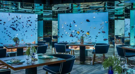 imagen 4 de Sky Bar. Un bar con vistas al cielo (y al cosmos).