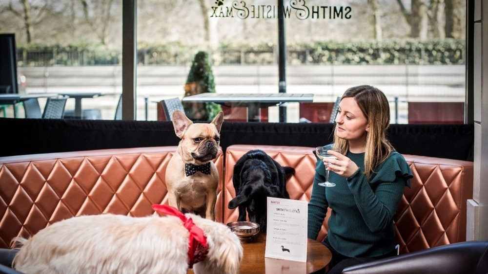 imagen 4 de Durante el mes de abril te puedes ir de copas con tu perro (en Londres).