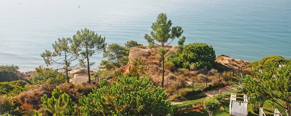 imagen 11 de Tui Blue Falesia hace del Algarve tu paraíso.