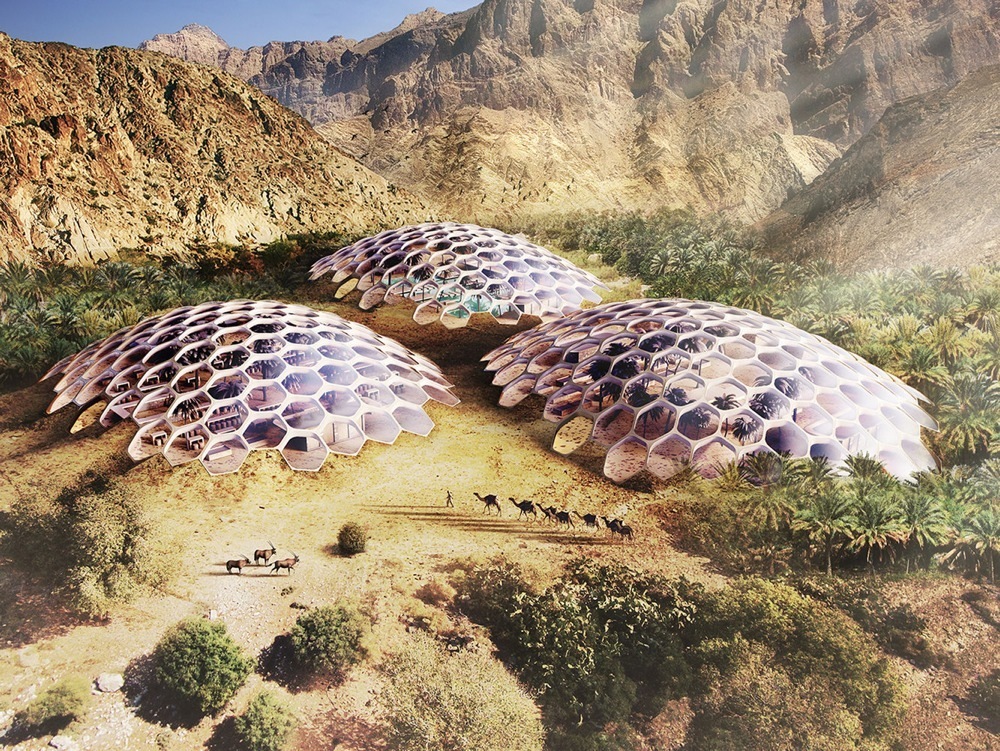 imagen 2 de El safari más espectacular del mundo estará en los Emiratos Árabes Unidos.