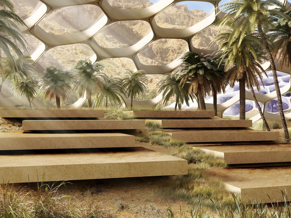imagen 4 de El safari más espectacular del mundo estará en los Emiratos Árabes Unidos.