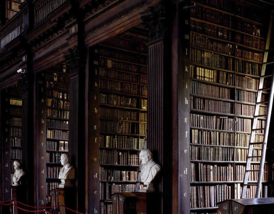 imagen 14 de Las bibliotecas más bellas del mundo según Massimo Listri.