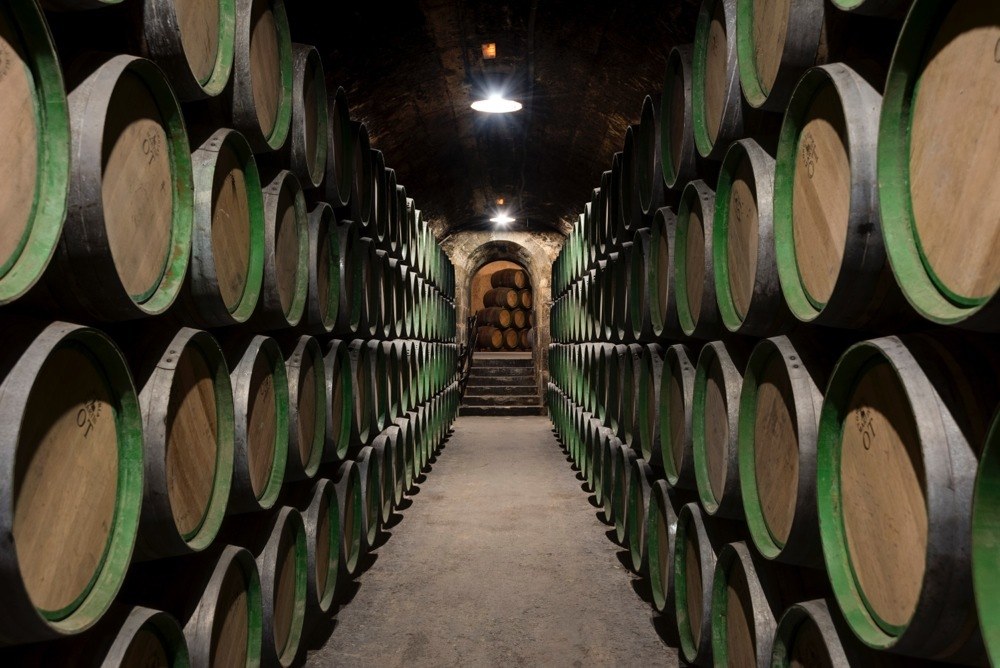 imagen 8 de Un viaje por el mundo del vino y la gastronomía de La Rioja.