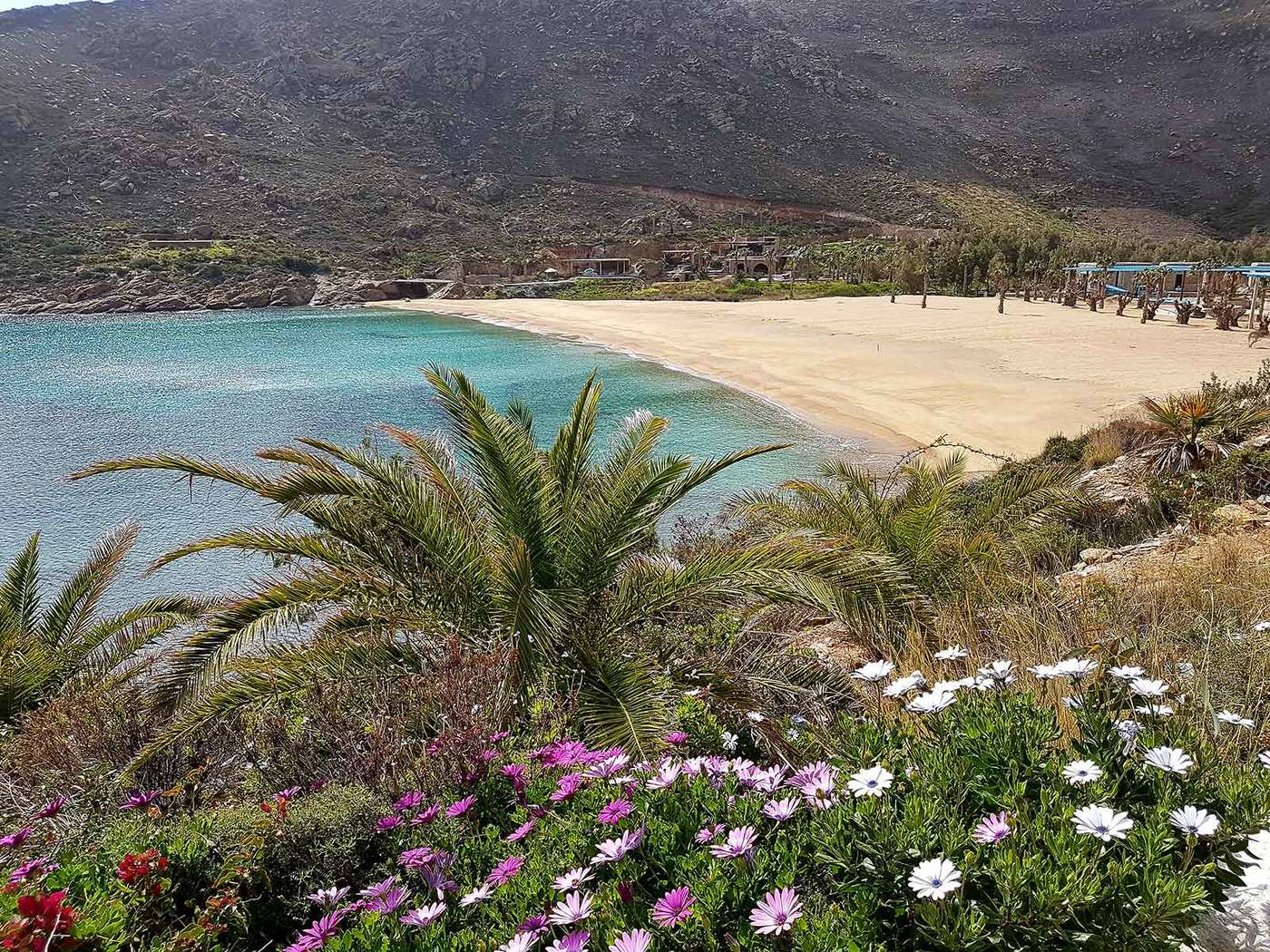 imagen 5 de Calilo Beach Heaven, el hotel de tus próximas vacaciones en Grecia.