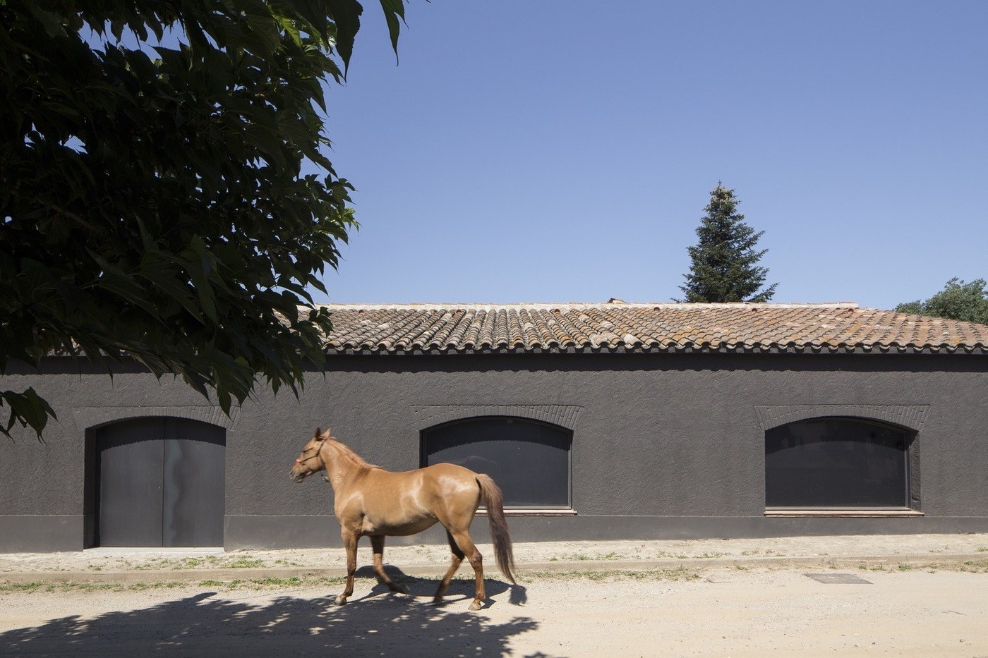 imagen 4 de Sant Martí House, una casa para los amantes de los caballos.