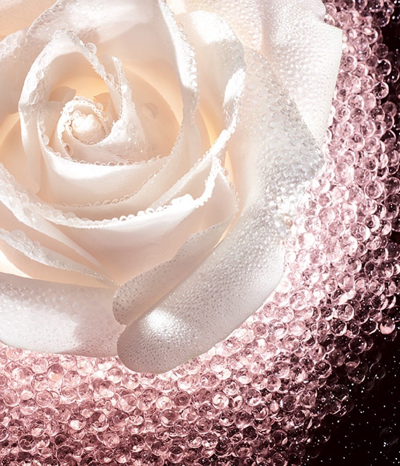 imagen 7 de La Micro-Huile de Rose, rosas de Granville para tu cara bonita.