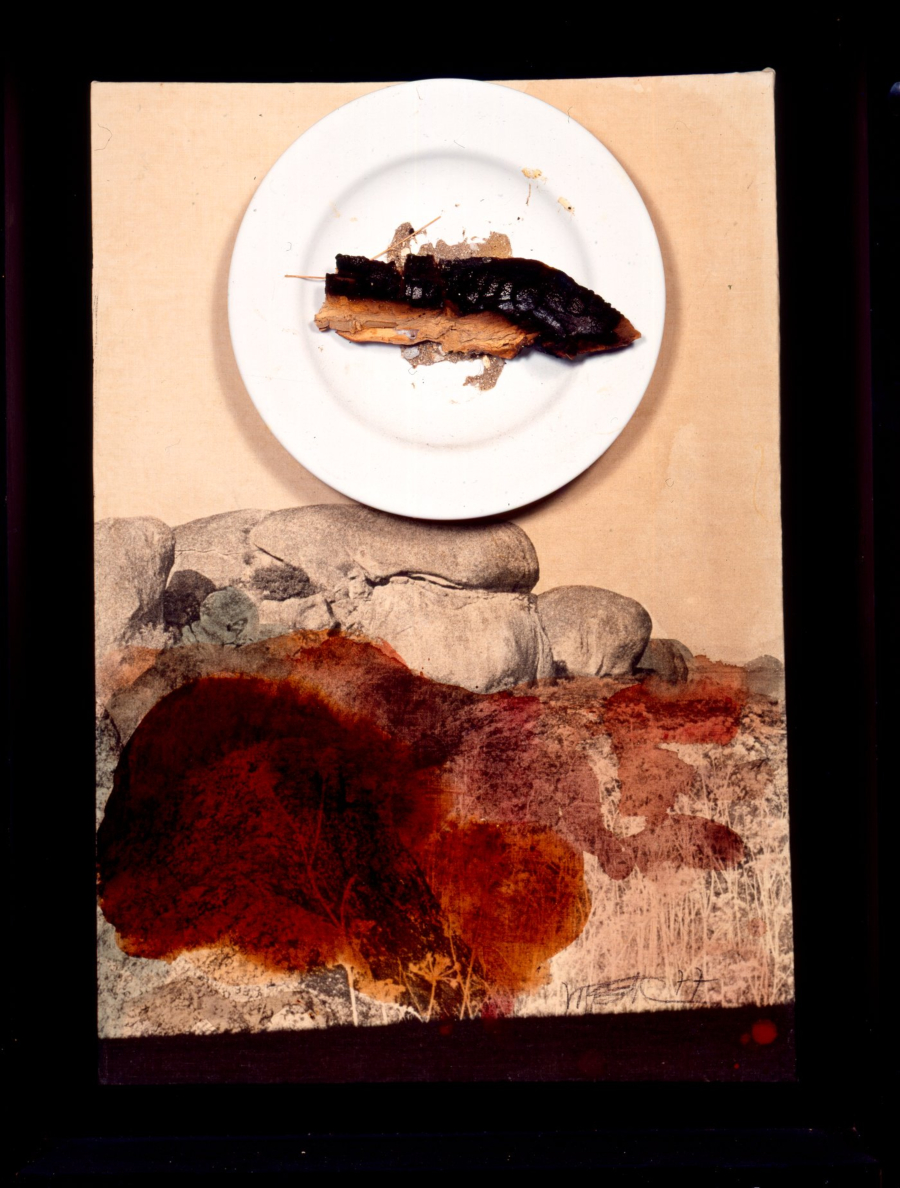 imagen 10 de Wolf Vostell: el arte de la vida.