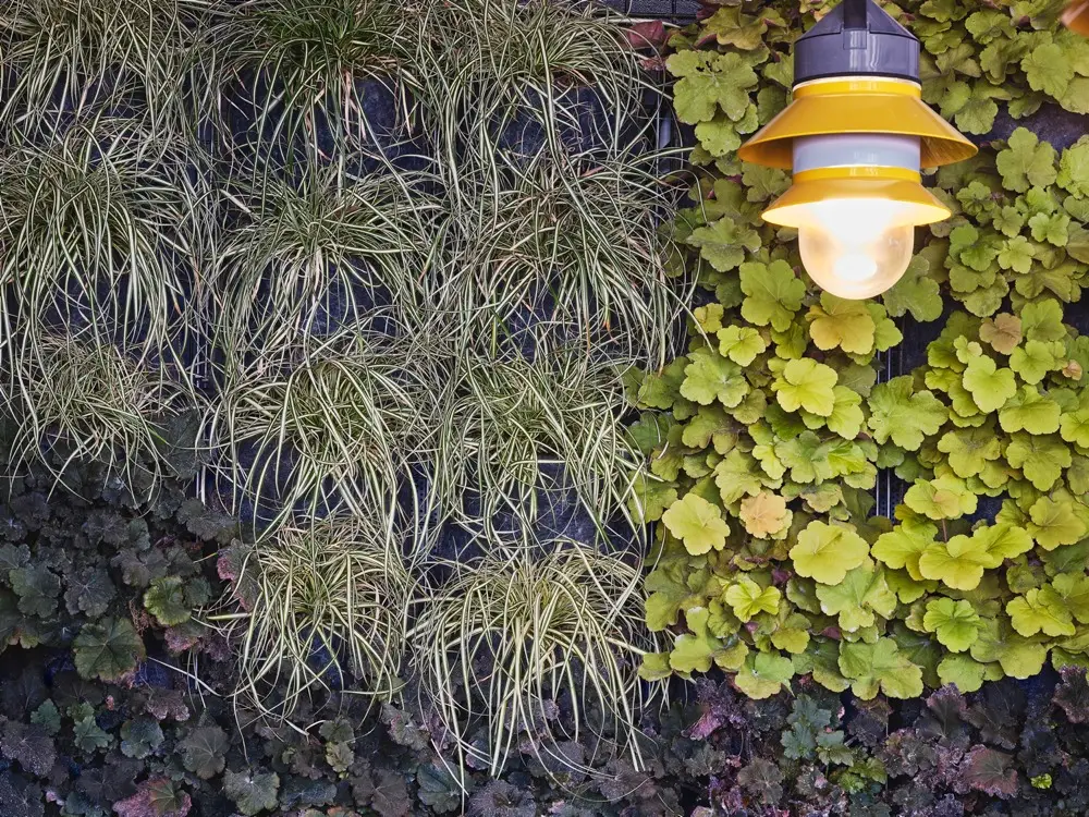 imagen 32 de Lunes de terraza de invierno y afterwork en Doñaluz.