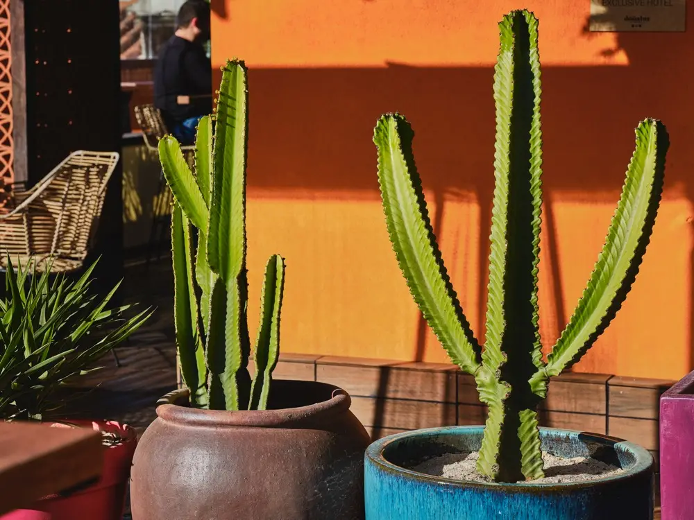 imagen 27 de Lunes de terraza de invierno y afterwork en Doñaluz.