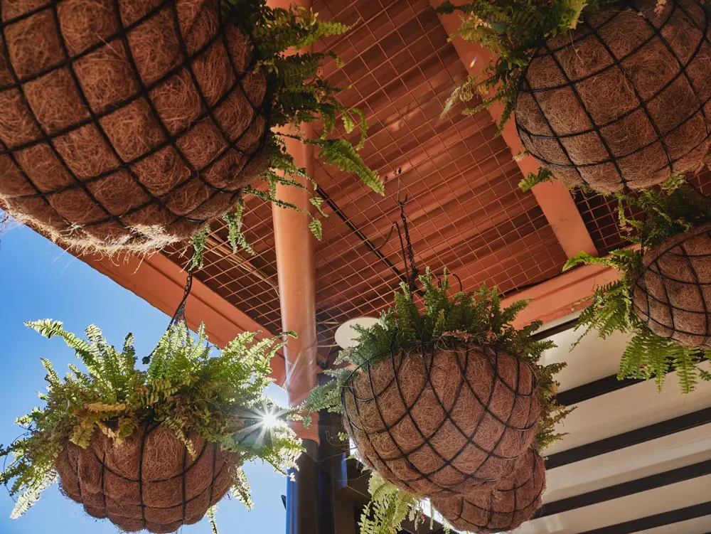 imagen 4 de Lunes de terraza de invierno y afterwork en Doñaluz.