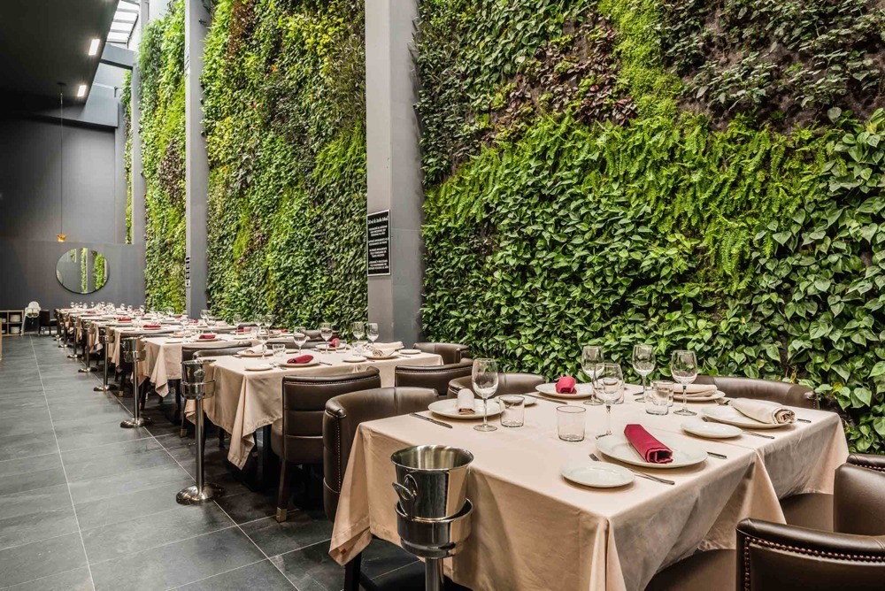 imagen 13 de Bálamo, un restaurante con carta de puerto de mar y el jardín vertical interior más grande de Europa.